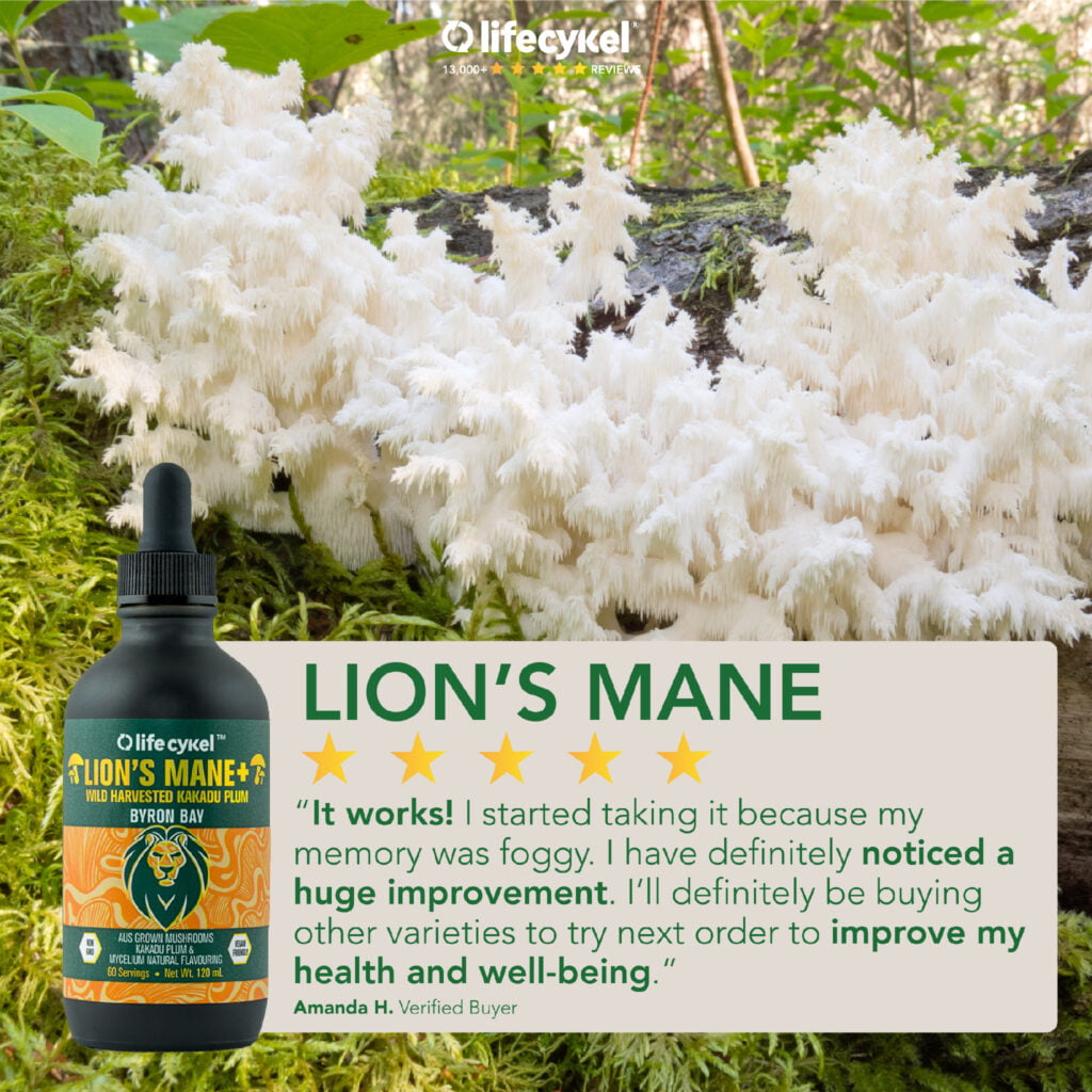 Life Cykle Au Lion's mane Extract 