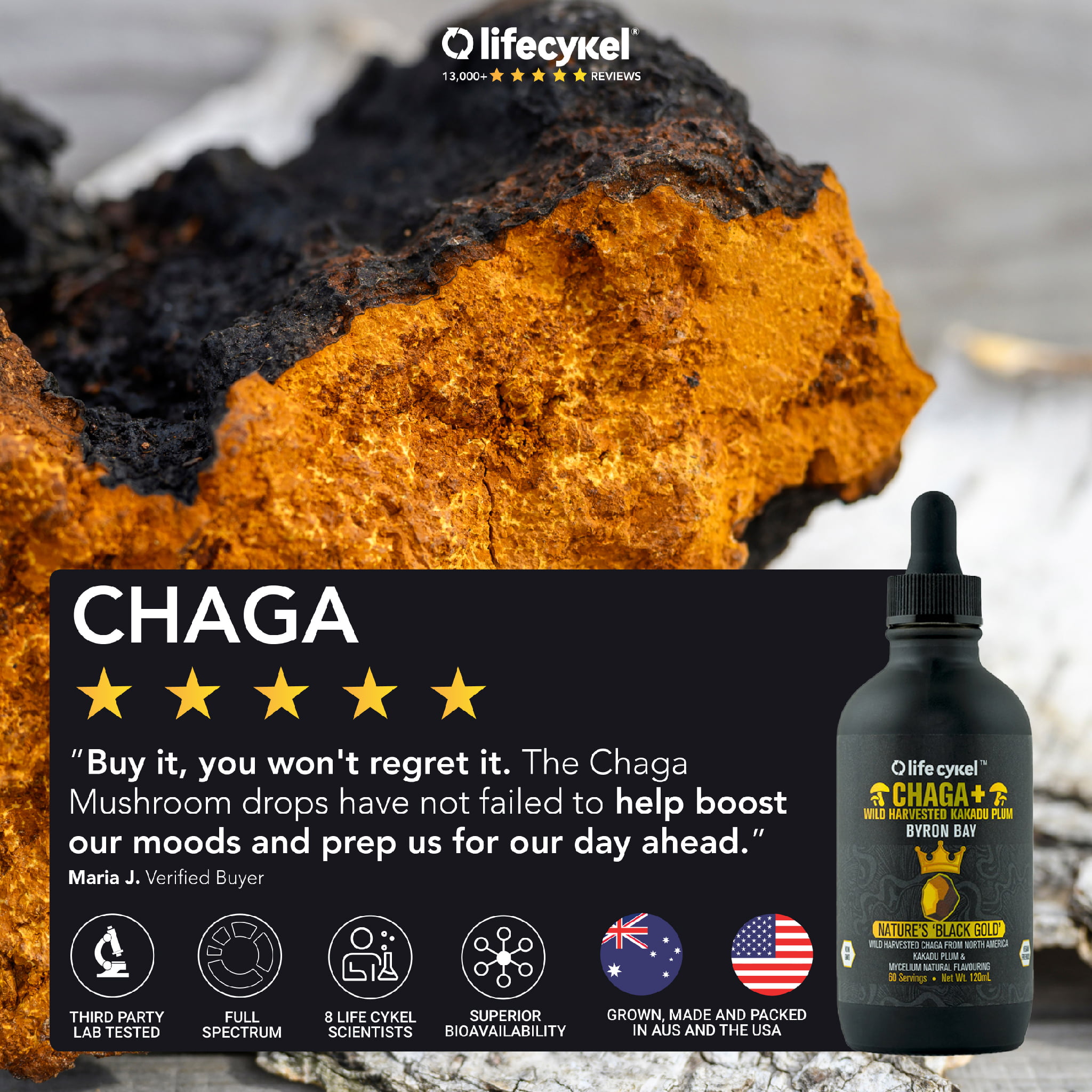 Chaga Shopify 01