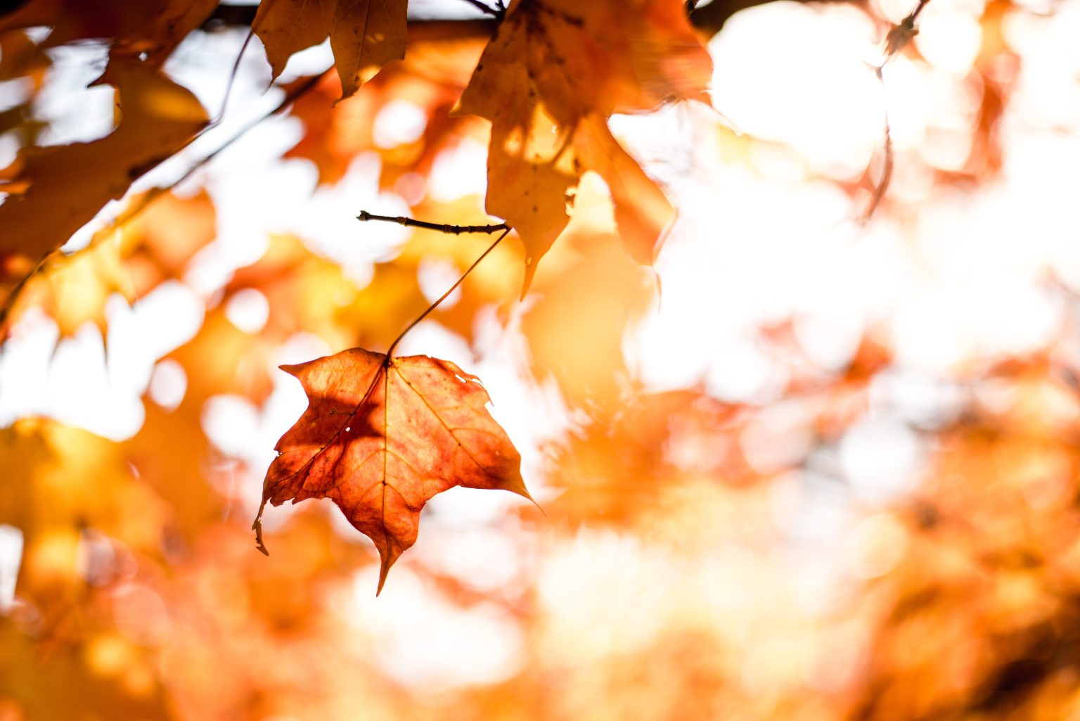 5 Tips To Boost Your Immune System In Autumn